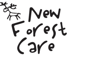New Forest Care