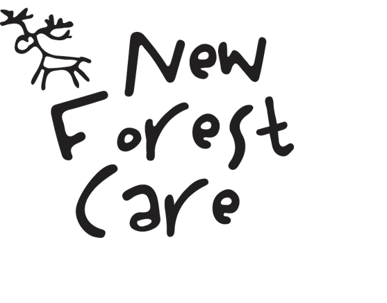 New Forest Care